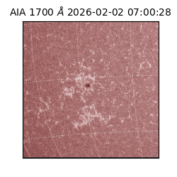 saia - 2026-02-02T07:00:28.717000