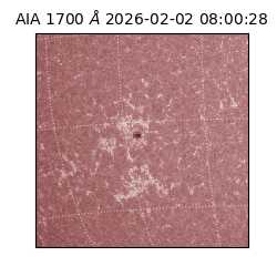 saia - 2026-02-02T08:00:28.717000