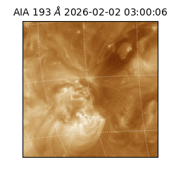 saia - 2026-02-02T03:00:06.711000