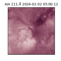 saia - 2026-02-02T05:00:12.637000