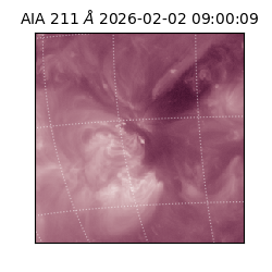 saia - 2026-02-02T09:00:09.624000