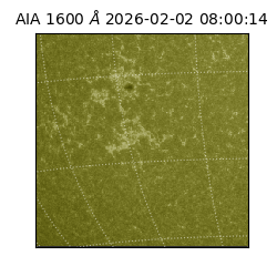 saia - 2026-02-02T08:00:14.126000