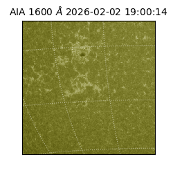 saia - 2026-02-02T19:00:14.132000