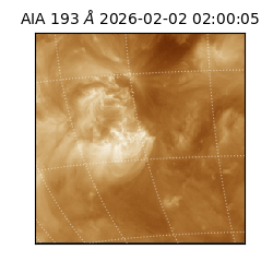 saia - 2026-02-02T02:00:05.337000