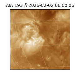saia - 2026-02-02T06:00:06.624000