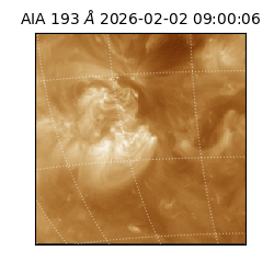 saia - 2026-02-02T09:00:06.421000
