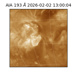 saia - 2026-02-02T13:00:04.843000