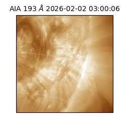 saia - 2026-02-02T03:00:06.711000