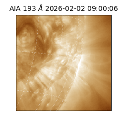saia - 2026-02-02T09:00:06.421000
