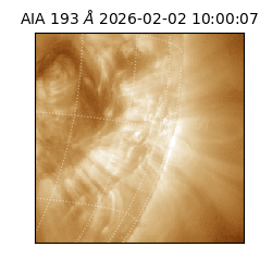 saia - 2026-02-02T10:00:07.315000