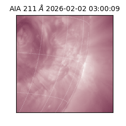 saia - 2026-02-02T03:00:09.623000