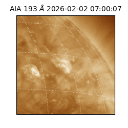 saia - 2026-02-02T07:00:07.032000