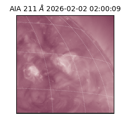 saia - 2026-02-02T02:00:09.633000