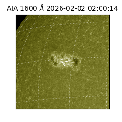 saia - 2026-02-02T02:00:14.126000