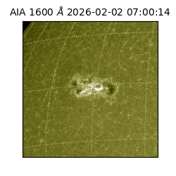 saia - 2026-02-02T07:00:14.126000