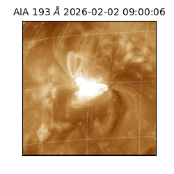 saia - 2026-02-02T09:00:06.421000
