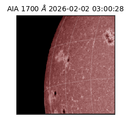 saia - 2026-02-02T03:00:28.717000