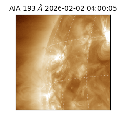saia - 2026-02-02T04:00:05.627000