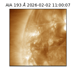 saia - 2026-02-02T11:00:07.129000