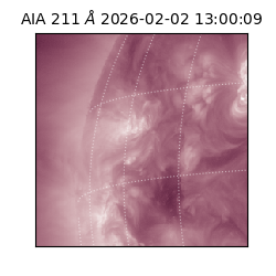 saia - 2026-02-02T13:00:09.626000