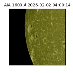 saia - 2026-02-02T04:00:14.129000