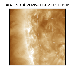 saia - 2026-02-02T03:00:06.711000