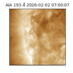saia - 2026-02-02T07:00:07.032000