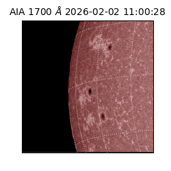 saia - 2026-02-02T11:00:28.717000