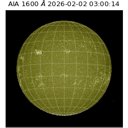 saia - 2026-02-02T03:00:14.125000