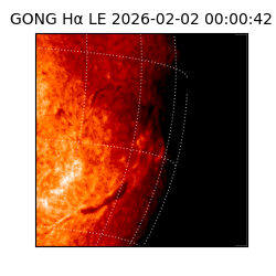 gong - 2026-02-02T00:00:42