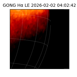 gong - 2026-02-02T04:02:42