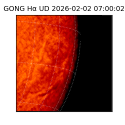 gong - 2026-02-02T07:00:02