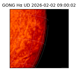 gong - 2026-02-02T09:00:02