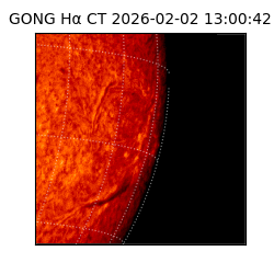 gong - 2026-02-02T13:00:42