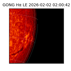 gong - 2026-02-02T02:00:42