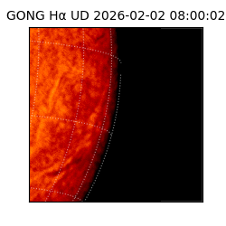 gong - 2026-02-02T08:00:02