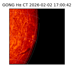 gong - 2026-02-02T17:00:42