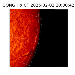 gong - 2026-02-02T20:00:42