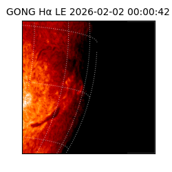 gong - 2026-02-02T00:00:42