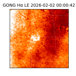 gong - 2026-02-02T00:00:42