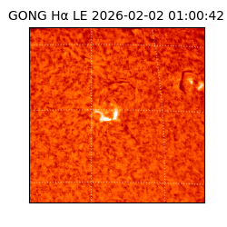 gong - 2026-02-02T01:00:42