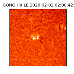 gong - 2026-02-02T02:00:42