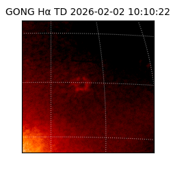 gong - 2026-02-02T10:10:22