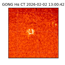 gong - 2026-02-02T13:00:42