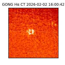 gong - 2026-02-02T16:00:42