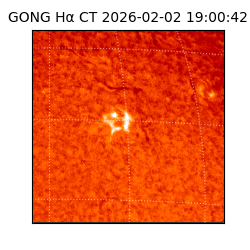 gong - 2026-02-02T19:00:42