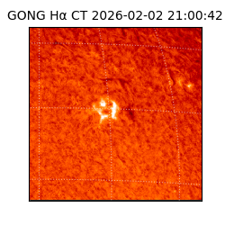 gong - 2026-02-02T21:00:42