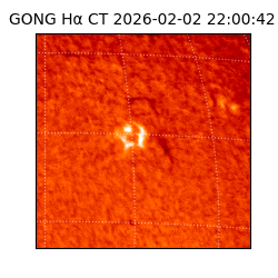 gong - 2026-02-02T22:00:42