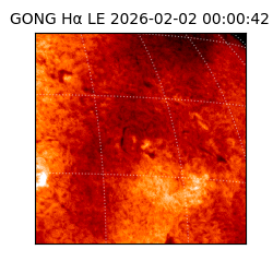 gong - 2026-02-02T00:00:42