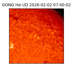 gong - 2026-02-02T07:00:02